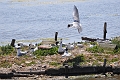 Holiday Dorset_9435_edited-1